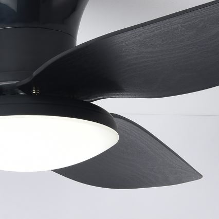 Brilagi - LED himmennettävä kattotuuletin LED/30W/230V 3000-6500K musta + kaukosäädin