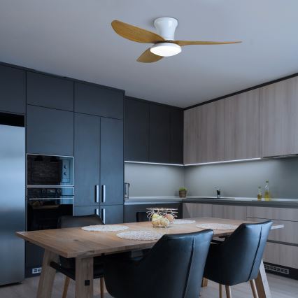 Brilagi - LED himmennettävä kattotuuletin LED/30W/230V 3000-6500K valkoinen/ruskea + kaukosäädin