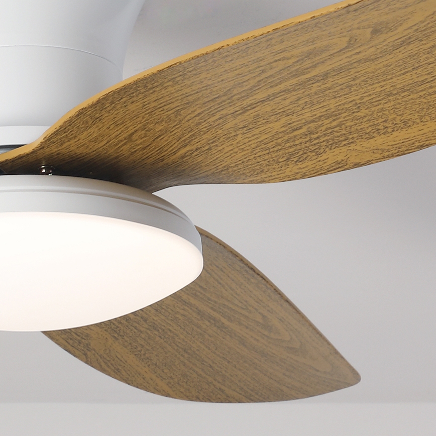 Brilagi - LED himmennettävä kattotuuletin LED/30W/230V 3000-6500K valkoinen/ruskea + kaukosäädin