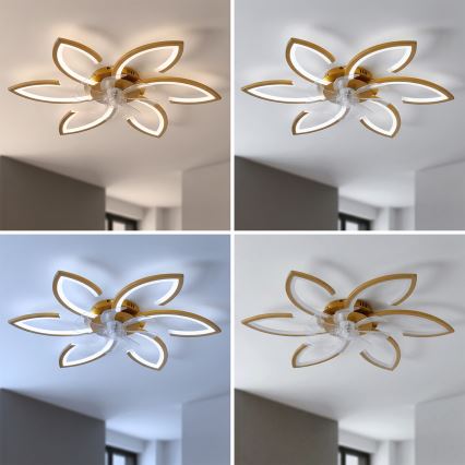 Brilagi - himmennettävä LED-kattotuuletin LED/34W/230V 3000–6500K, halkaisija 78 cm, kultainen + kaukosäädin