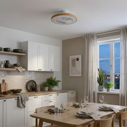 Brilagi - LED himmennettävä kattotuuletin LED/38W/230V 50 cm valkoinen/ruskea + kaukosäädin