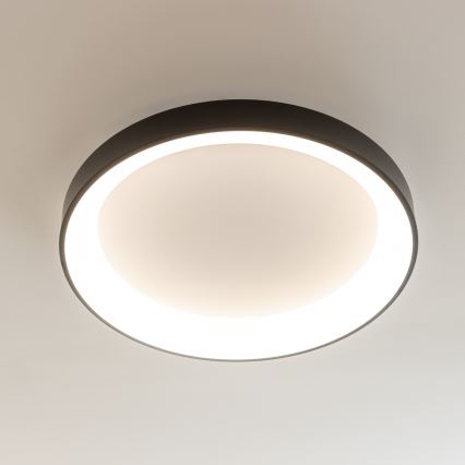 Brilagi - LED-himmennettävä kattovalaisin FALCON II LED/99W/230V 3000-6500K Ø 60 cm musta + kaukosäädin