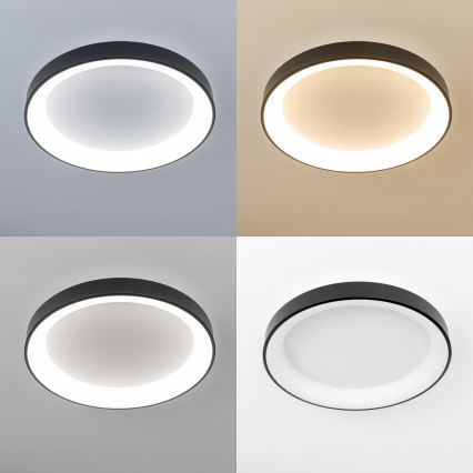 Brilagi - LED-himmennettävä kattovalaisin FALCON II LED/99W/230V 3000-6500K Ø 60 cm musta + kaukosäädin