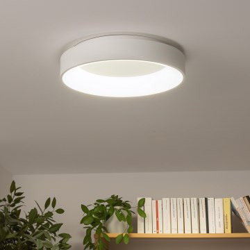 Brilagi - LED himmennettävä kattovalaisin FALCON LED/40W/230V 3000–6500K Ø 45 cm valkoinen + kaukosäädin