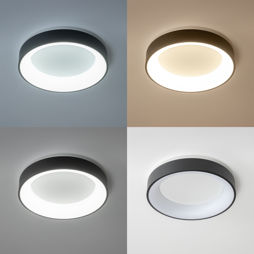 Brilagi - Himennettävä LED-kattovalaisin FALCON LED/80W/230V 3000-6500K halkaisija 60 cm musta + kaukosäädin