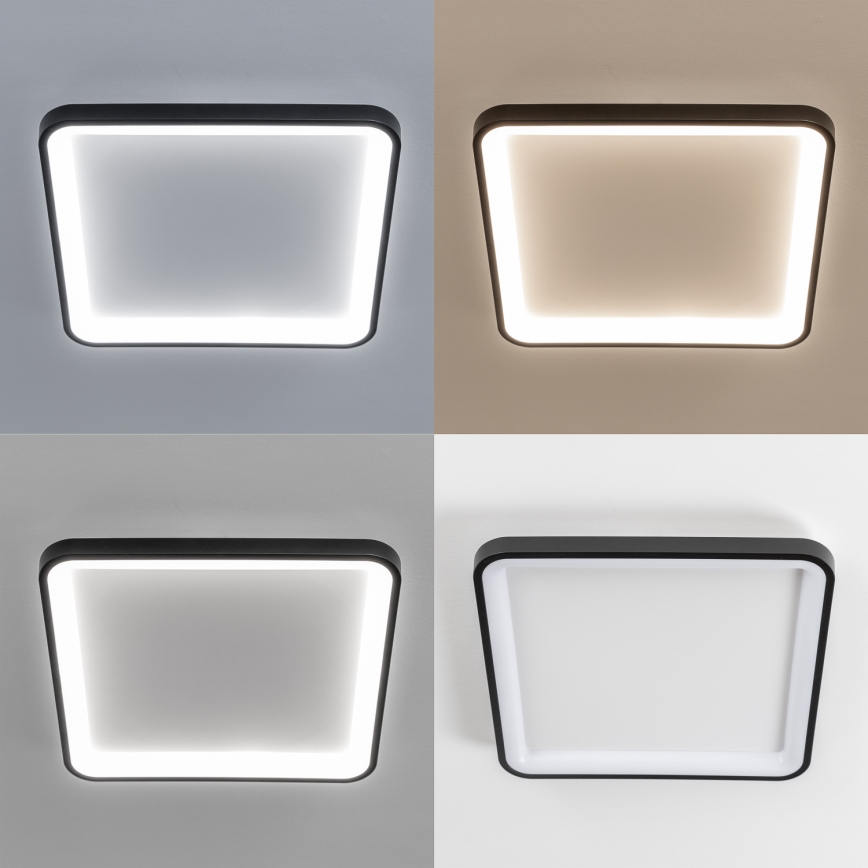 Brilagi - LED Himmennettävä kattovalaisin FALCON SLIM LED/50W/230V 3000-6500K 50x50 cm musta + kaukosäädin