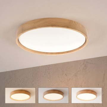 Brilagi - LED-himmennettävä kattovalaisin MANAROLA REMOTE LED/36W/230V 3000–6500 K halkaisija 51 cm tammi + kaukosäädin