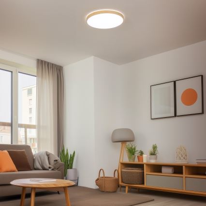 Brilagi - LED-himmennettävä kattovalaisin PINE LED/60W/230V puuviimeistely halkaisija 52 cm 3000-6500K + kaukosäädin