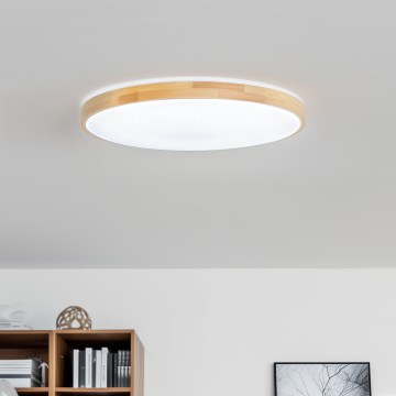 Brilagi - LED-himmennettävä kattovalaisin PINE LED/60W/230V puuviimeistely halkaisija 52 cm 3000-6500K + kaukosäädin