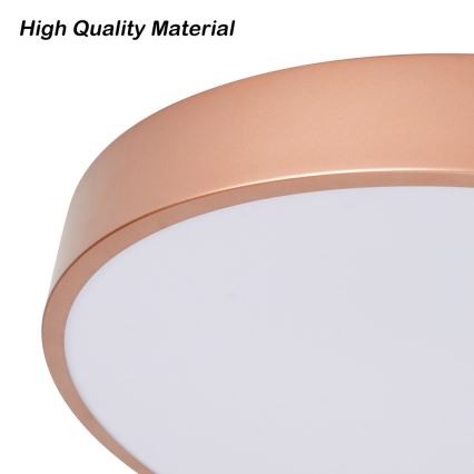 BRILAGI - himmennettävä LED-kattovalaisin POOL LED/36W/230V 3000-6000K halkaisija 30 cm pronssi + kaukosäädin