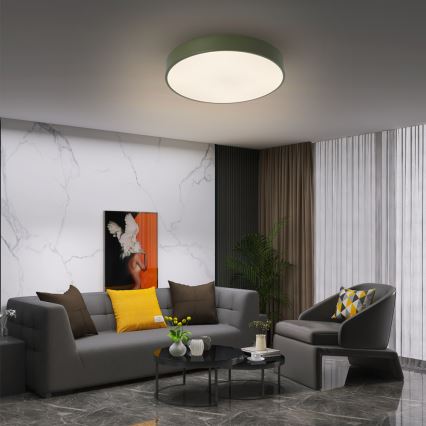 Brilagi - Himmennettävä LED-kattovalaisin POOL LED/48W/230V 3000-6000K Ø 40 cm vihreä + kaukosäädin