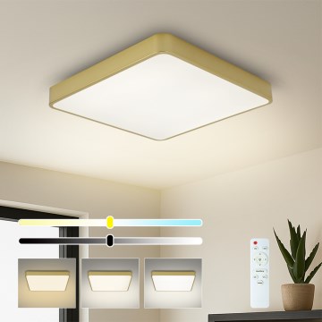 BRILAGI - LED himmennettävä kattovalaisin POOL SQUARE LED/36W/230V 3000-6000K 40x40 cm kullanvärinen + kaukosäädin