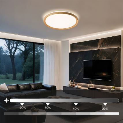 Brilagi - LED-himmennettävä kattovalaisin RIVO LED/72W/230V 3000-6000K puukuosi, halkaisija 50 cm + kaukosäädin