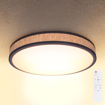 Brilagi - LED himmennettävä kattovalaisin ROSA LED/48W/230V 3000-6500K halkaisija 38 cm + kaukosäädin