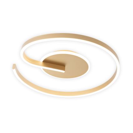 Brilagi - LED-himmennettävä kattovalaisin SPIRAL LED/56W/230V halkaisija 50 cm 3000/4000/6000K + kaukosäädin