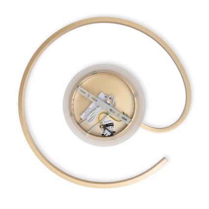 Brilagi - LED-himmennettävä kattovalaisin SPIRAL LED/56W/230V halkaisija 50 cm 3000/4000/6000K + kaukosäädin