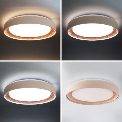 Brilagi - LED himmennettävä kattovalaisin WALDO LED/48W/230V 3000-6500K halkaisija 40 cm beige/kultainen + kaukosäädin