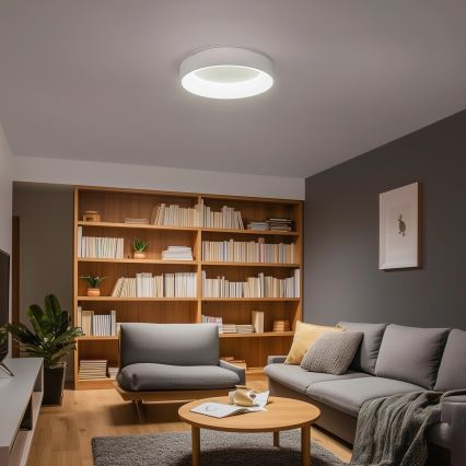 Brilagi - LED Himmennettävä kattovalo FALCON LED/40W/230V 3000-6500K + kaukosäädin