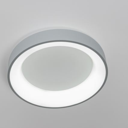 Brilagi - LED Himmennettävä kattovalo FALCON LED/80W/230V 3000-6500K + kaukosäädin