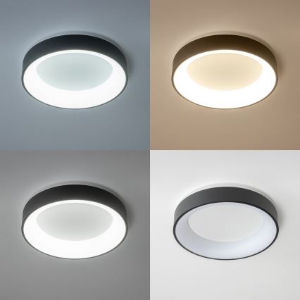 Brilagi - LED Himmennettävä kattovalo FALCON LED/40W/230V 3000-6500K musta + kauko-ohjain