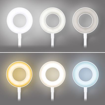 Brilagi - LED himmennettävä lamppu klipsillä ORBELA LED/8W/230V 3000/4000/5000K valkoinen