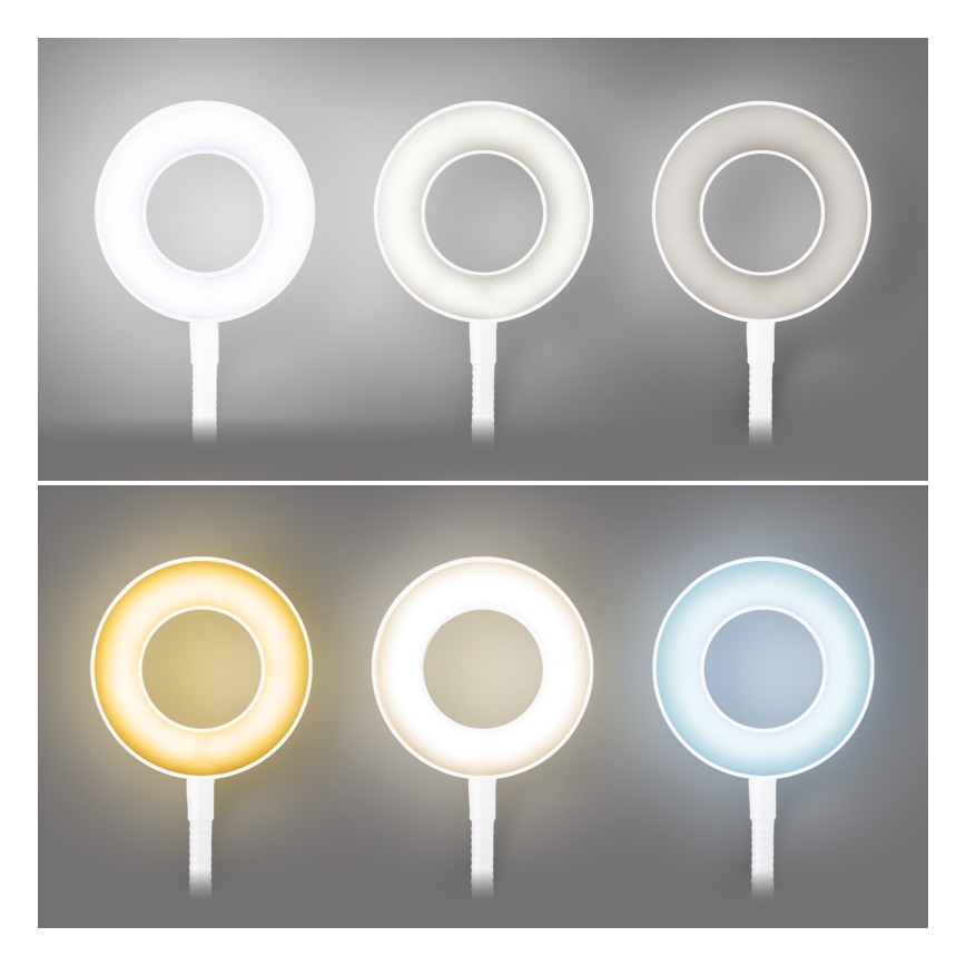 Brilagi - LED himmennettävä lamppu klipsillä ORBELA LED/8W/230V 3000/4000/5000K valkoinen