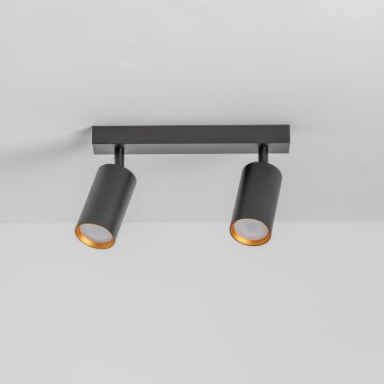 Brilagi - LED-himmennettävä kohdevalaisin SELE 2xGU10/6,5W/230V 2700-6500K musta/kultainen