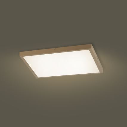 Brilagi - himennettävä kylpyhuoneen kattovalaisin FRAME SMART LED/50W/230V 60x60 cm 3000-6000K IP44 beige + kaukosäädin