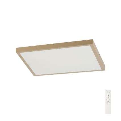 Brilagi - himennettävä kylpyhuoneen kattovalaisin FRAME SMART LED/50W/230V 60x60 cm 3000-6000K IP44 beige + kaukosäädin