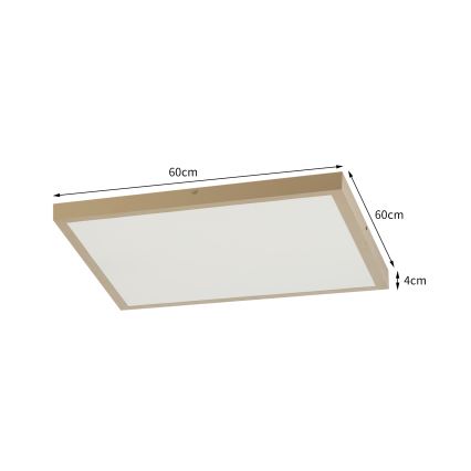 Brilagi - himennettävä kylpyhuoneen kattovalaisin FRAME SMART LED/50W/230V 60x60 cm 3000-6000K IP44 beige + kaukosäädin