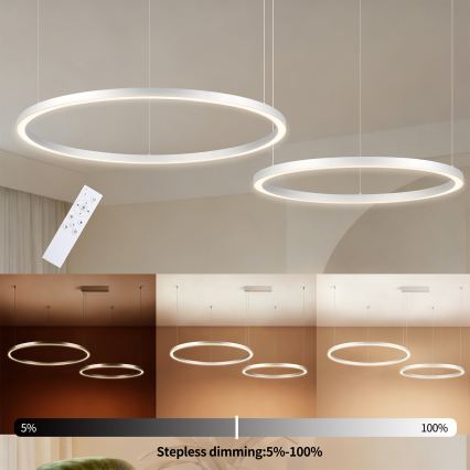 Brilagi - himmennettävä LED-riippuvalaisin kaapelilla PORTOFINO LED/98W/230V 3000–6000K hopea + kaukosäädin