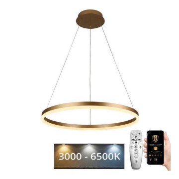 Brilagi - LED himmennettävä riippuvalaisin kaapelilla CIRCLE LED/42W/230V 3000-6500K halkaisija 60 cm + kaukosäädin