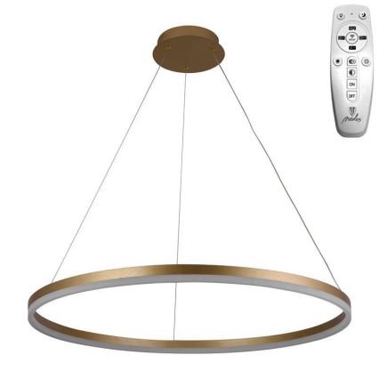 Brilagi - himmennettävä LED-riippuvalaisin vaijerilla CIRCLE LED/55W/230V 3000-6500K halkaisija 80 cm kultainen + kaukosäädin