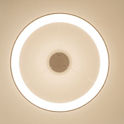 BRILAGI - LED Himennettävä riippuvalaisin vaijerilla FALCON II LED/108W/230V 3000-6500K Ø 80 cm beige + kaukosäädin