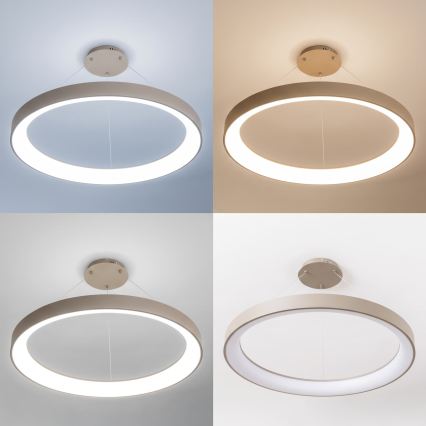 BRILAGI - LED Himennettävä riippuvalaisin vaijerilla FALCON II LED/108W/230V 3000-6500K Ø 80 cm beige + kaukosäädin