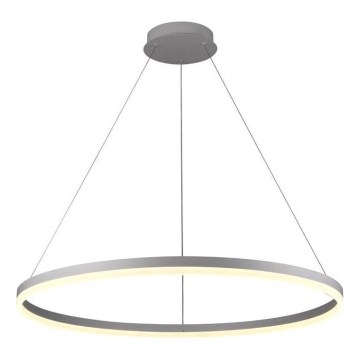 Brilagi - LED-himmennettävä riippuvalaisin vaijerilla CIRCLE LED/55W/230V 3000-6500K halkaisija 80 cm hopea + kaukosäädin