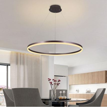 Brilagi - himmennettävä vaijerilla ripustettava LED-riippuvalaisin CIRCLE LED/55W/230V 3000-6500K Ø 80 cm ruskea + kaukosäädin