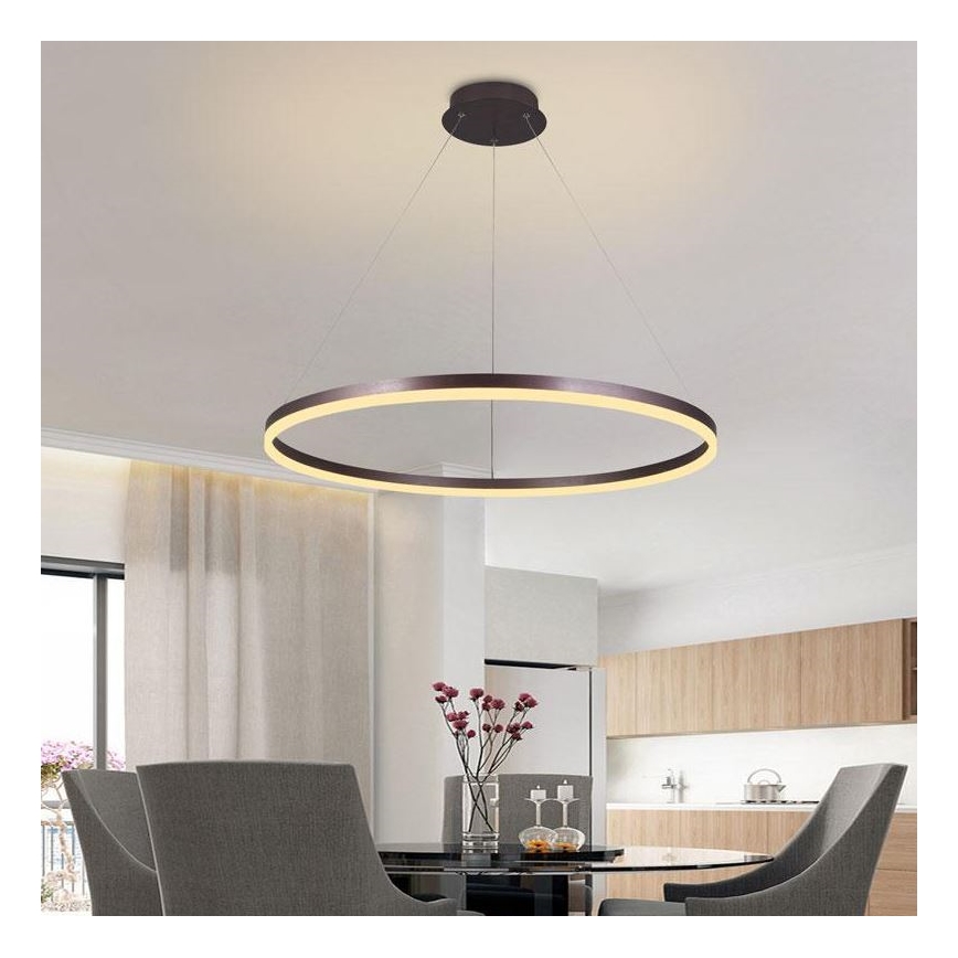 Brilagi - himmennettävä vaijerilla ripustettava LED-riippuvalaisin CIRCLE LED/55W/230V 3000-6500K Ø 80 cm ruskea + kaukosäädin