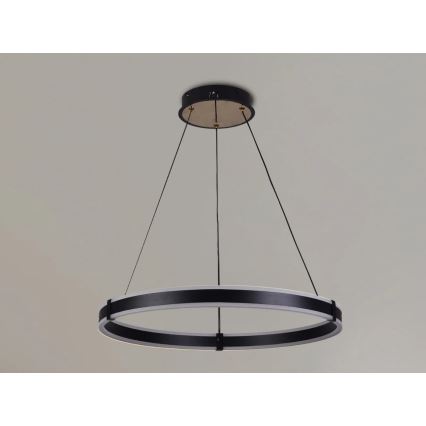Brilagi - LED himmennettävä riippuvalaisin kaapelilla CIRCLE LED/85W/230V 3000-6500K halkaisija 60 cm musta/kulta + kaukosäädin