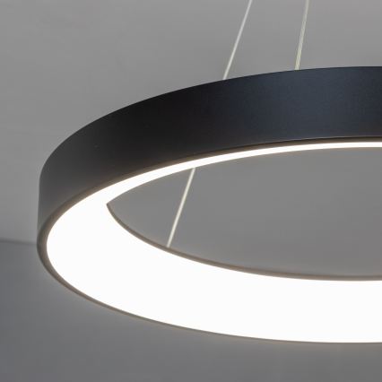 BRILAGI - LED himmennettävä riippuvalaisin kaapelilla FALCON II LED/99W/230V 3000-6500K halkaisija 60 cm musta + kaukosäädin