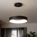 Brilagi - LED himmennettävä riippuvalaisin vaijerilla FALCON LED/80W/2300V 3000-6500K halkaisija 60 cm musta + kaukosäädin