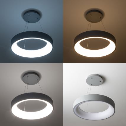 Brilagi - FALCON LED-himmennettävä riippuvalaisin kaapelilla LED/80W/230V 3000-6500K halkaisija 60 cm harmaa + kaukosäädin