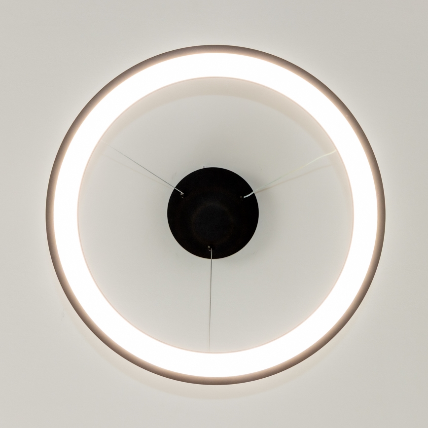 Brilagi - LED-himmennettävä vaijeririippuvalaisin FALCON SLIM LED/42W/230V 3000-6500K Ø50 cm musta + kaukosäädin