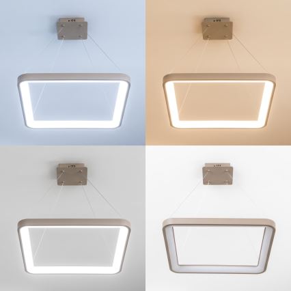 BRILAGI - LED himmennettävä riippuvalaisin vaijerilla FALCON SLIM LED/50W/230V 3000-6500K 50x50 cm beige + kaukosäädin