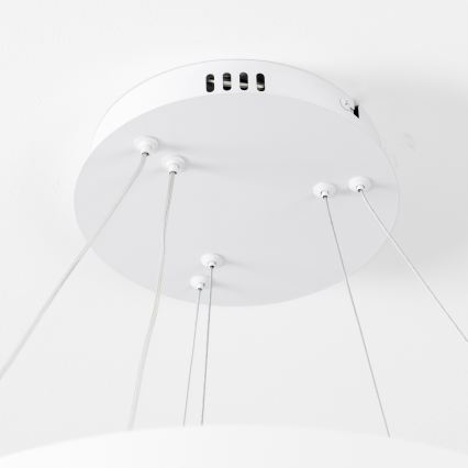 Brilagi - Himmennettävä LED-riippuvalaisin vaijerilla FALCON SLIM LED/68W/230V 3000-6500K halkaisija 50 cm valkoinen + kaukosäädin