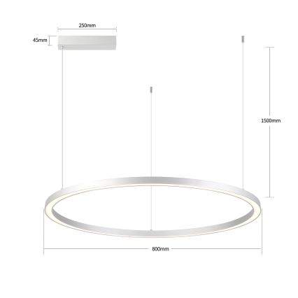 Brilagi - himmennettävä LED-riippuvalaisin kaapelilla PORTOFINO LED/60W/230V 3000-6000K halkaisija 80 cm hopeanvärinen + kauko-ohjain