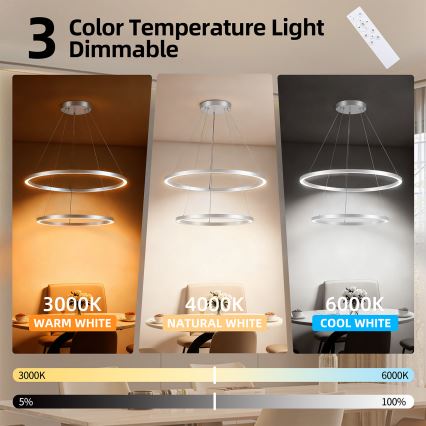 Brilagi - Himennettävä LED-riippuvalaisin vaijerilla PORTOFINO LED/98W/230V 3000-6000K halkaisija 80 cm hopea + kaukosäädin