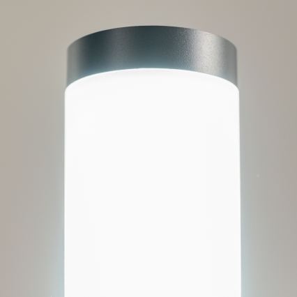 BRILAGI - LED himmennettävä ulkovalaisin pistorasialla ELIA 1xE27/6W/230V 2700-6500K IP44 Wi-Fi 50 cm antrasiitti