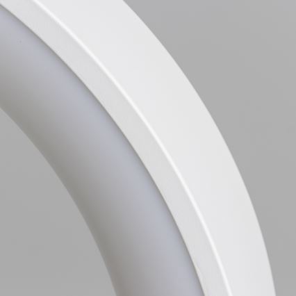 Brilagi - Himmennettävä LED-riippuvalaisin vaijerilla FALCON LED/80W/230V 3000-6500K halkaisija 60 cm valkoinen + kaukosäädin