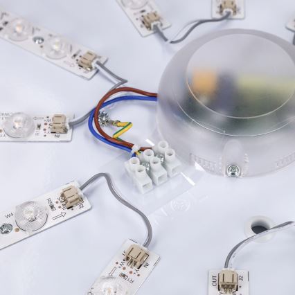 Brilagi - LED himmennettävä kattovalaisin ALSON LED/72W/230V 3000-6500K tammi, halkaisija 78 cm + kaukosäädin